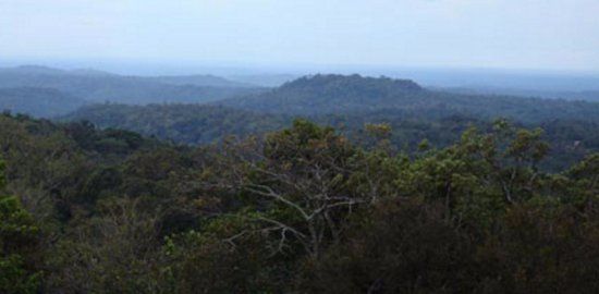 Seima Protection Forest